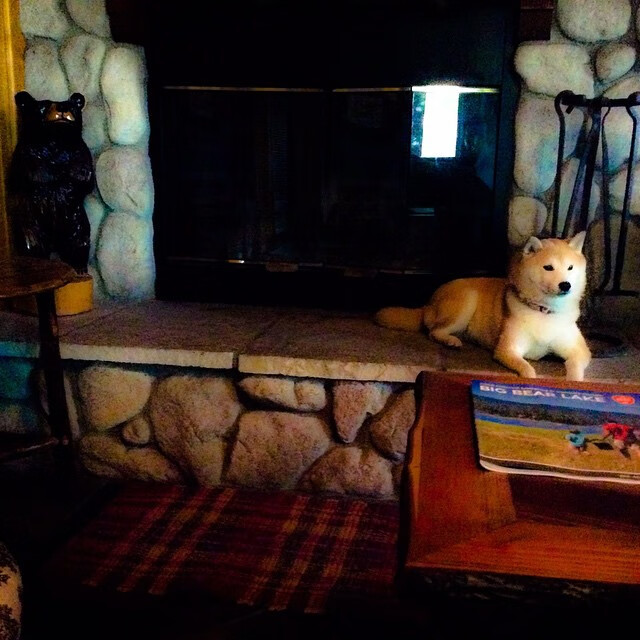 凯恩独造三球摧毁乌克兰防线,喀麦隆3-0强势晋级世界杯决赛圈