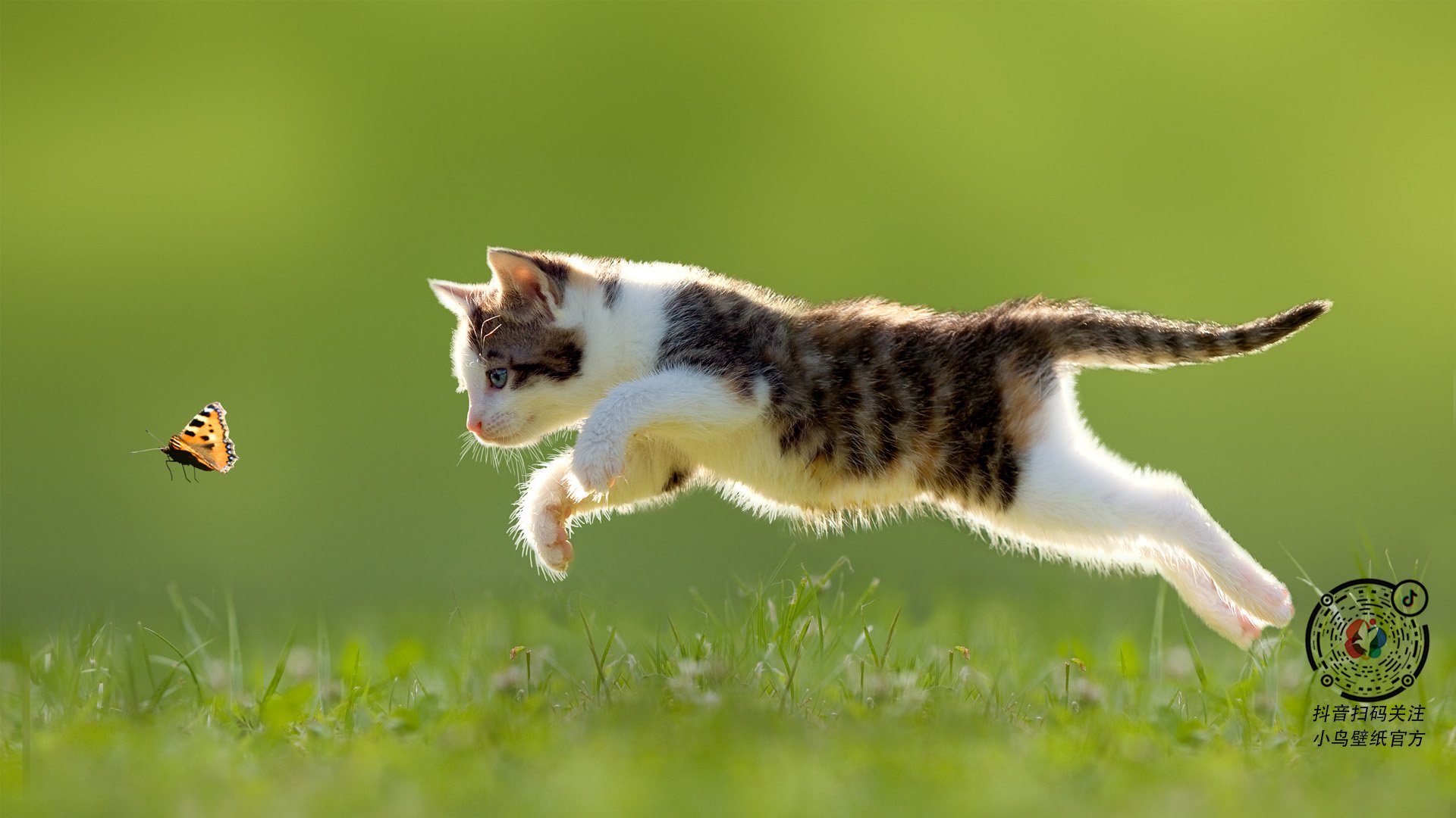 个人英雄主义的最佳剧本？不，是团队的终极奖赏