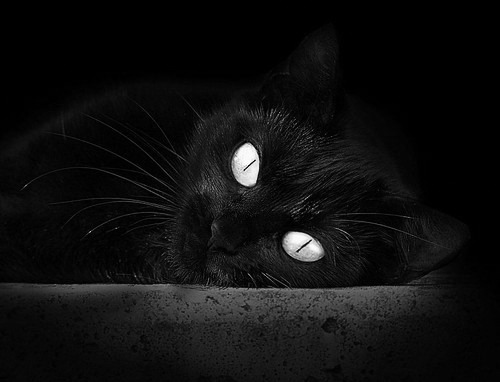 沙漠风暴中的逆袭史诗，巴雷拉一记惊雷，唤醒巴拉圭沉睡的斗魂