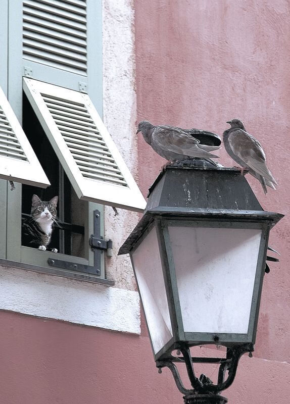 切分胜负线，当骑士与山西的棋局落于一子之手