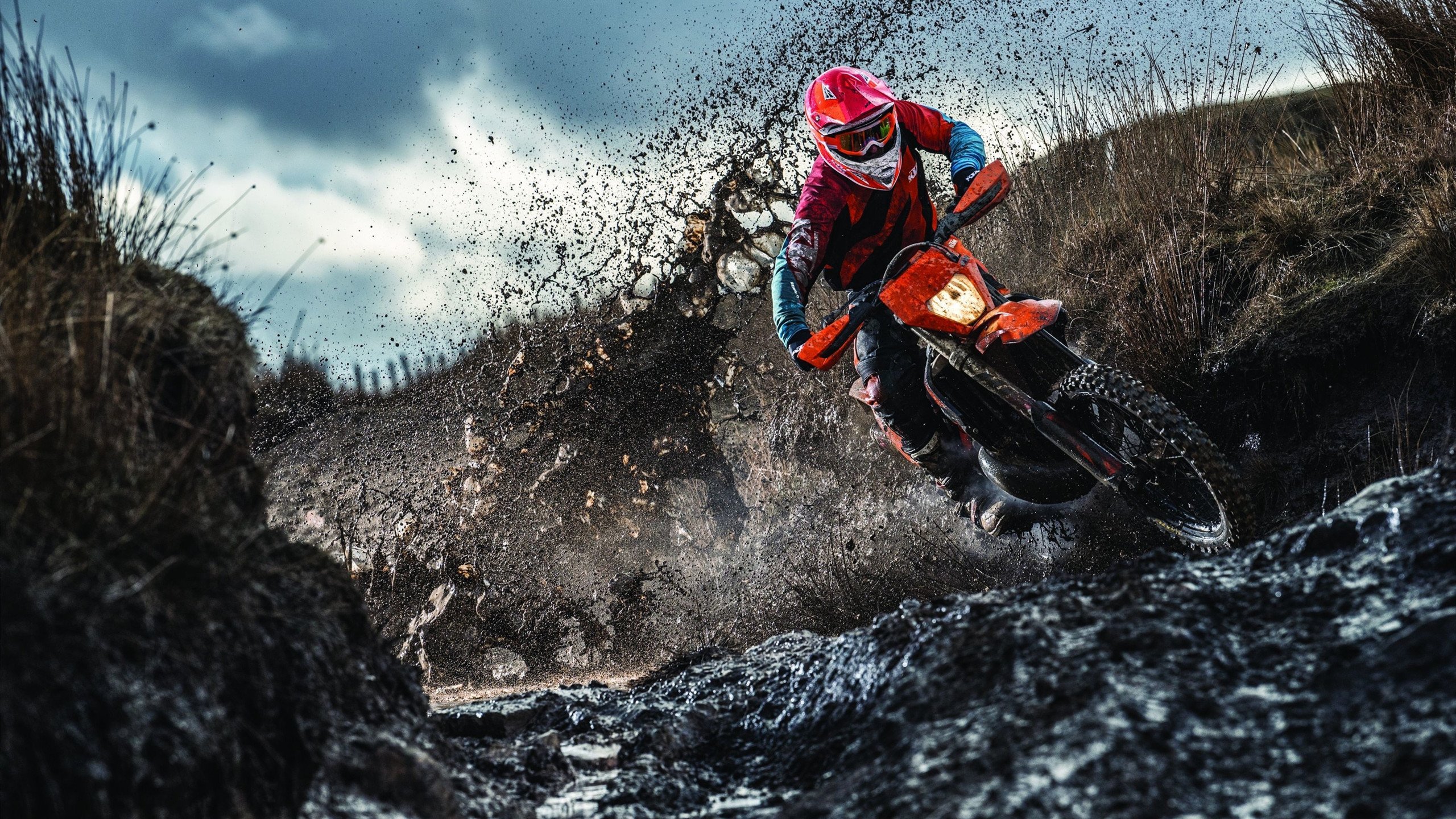 东北虎鏖战无名火，金州王加冕大场面，那些被冰与火锻造的竞技之心