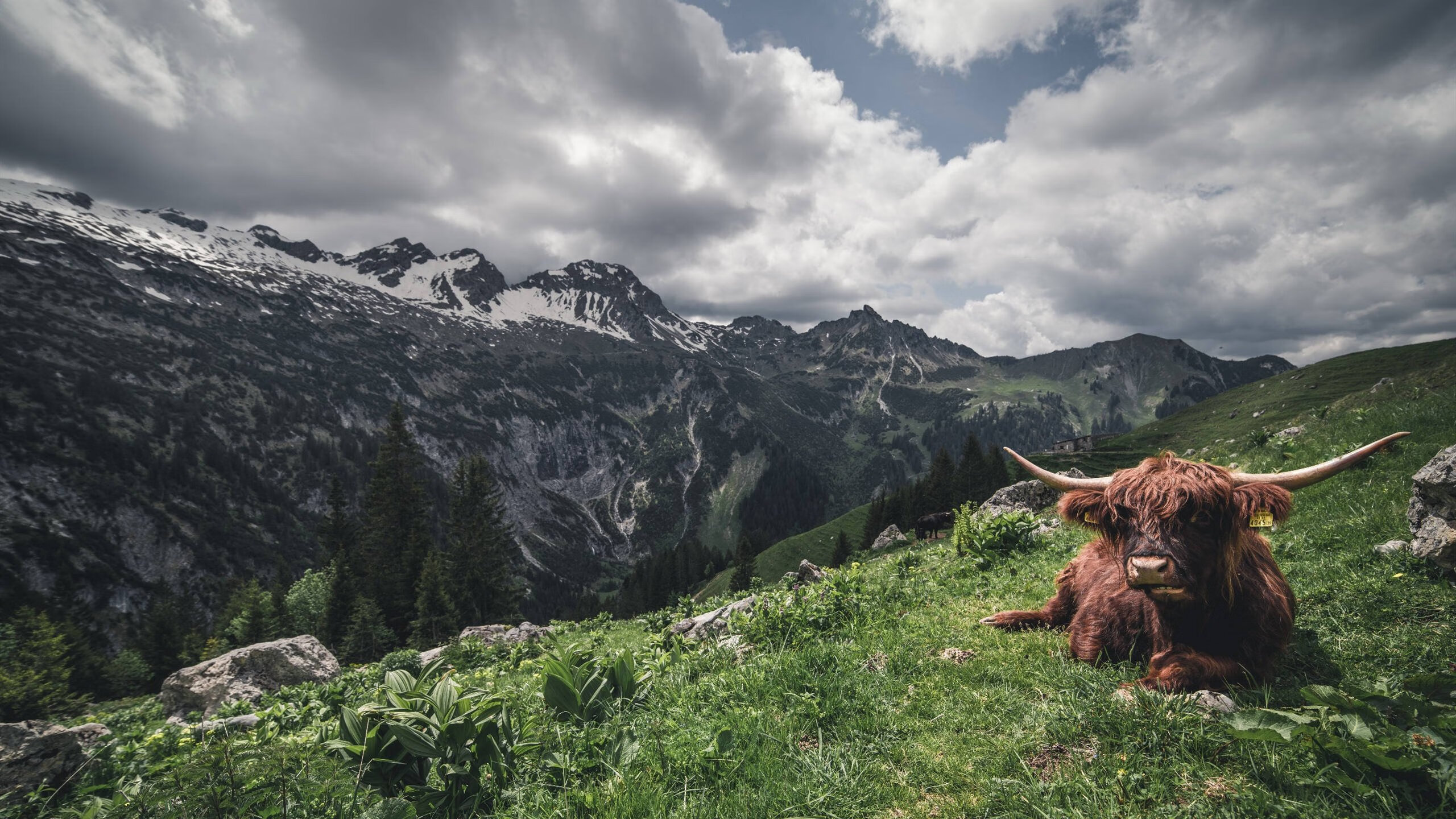 梦回俄城!杜兰特挥动玄铁重剑,鹈鹕惊险粉碎森林狼的不败金身