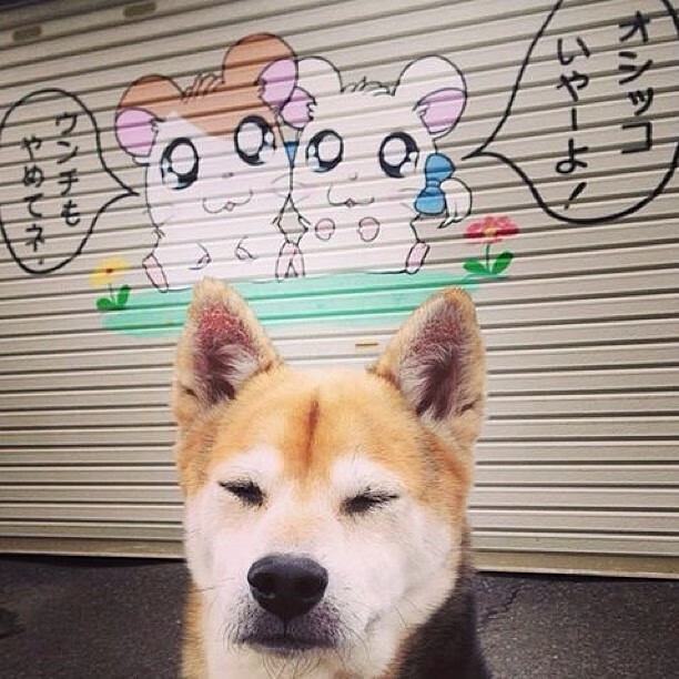 水银泻地，铁锁横江，当哈登的进攻艺术撞上灰熊的铜墙铁壁