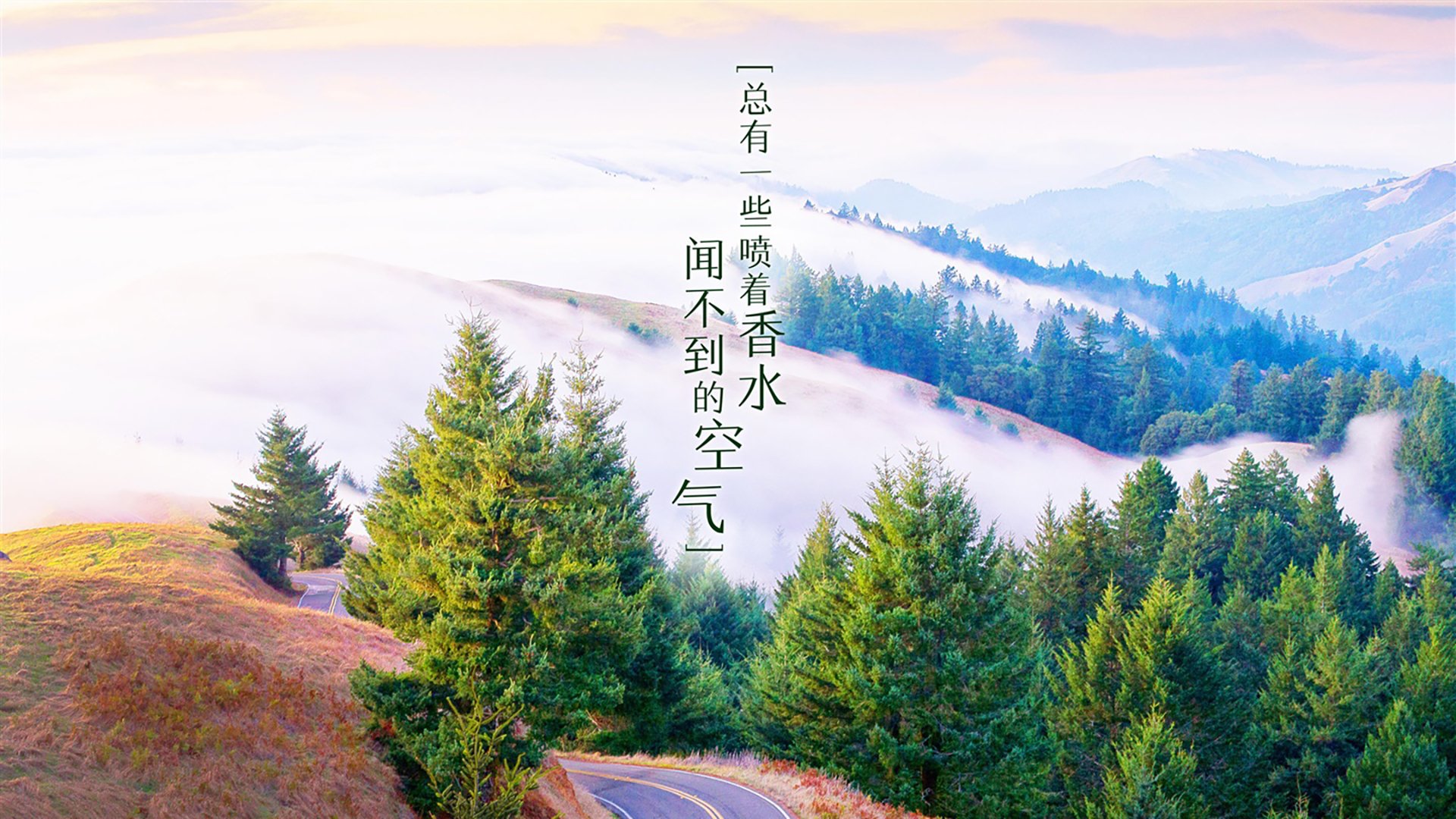 凯尔特人公园的屠夫之刃，欧冠之夜，苏格兰铁血强压老妇人