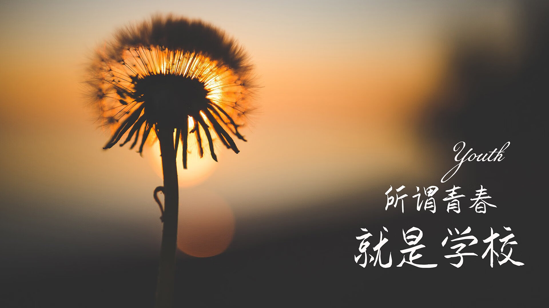史诗转折，奥亚尔萨瓦尔三连斩，永夜刻下冠军之名