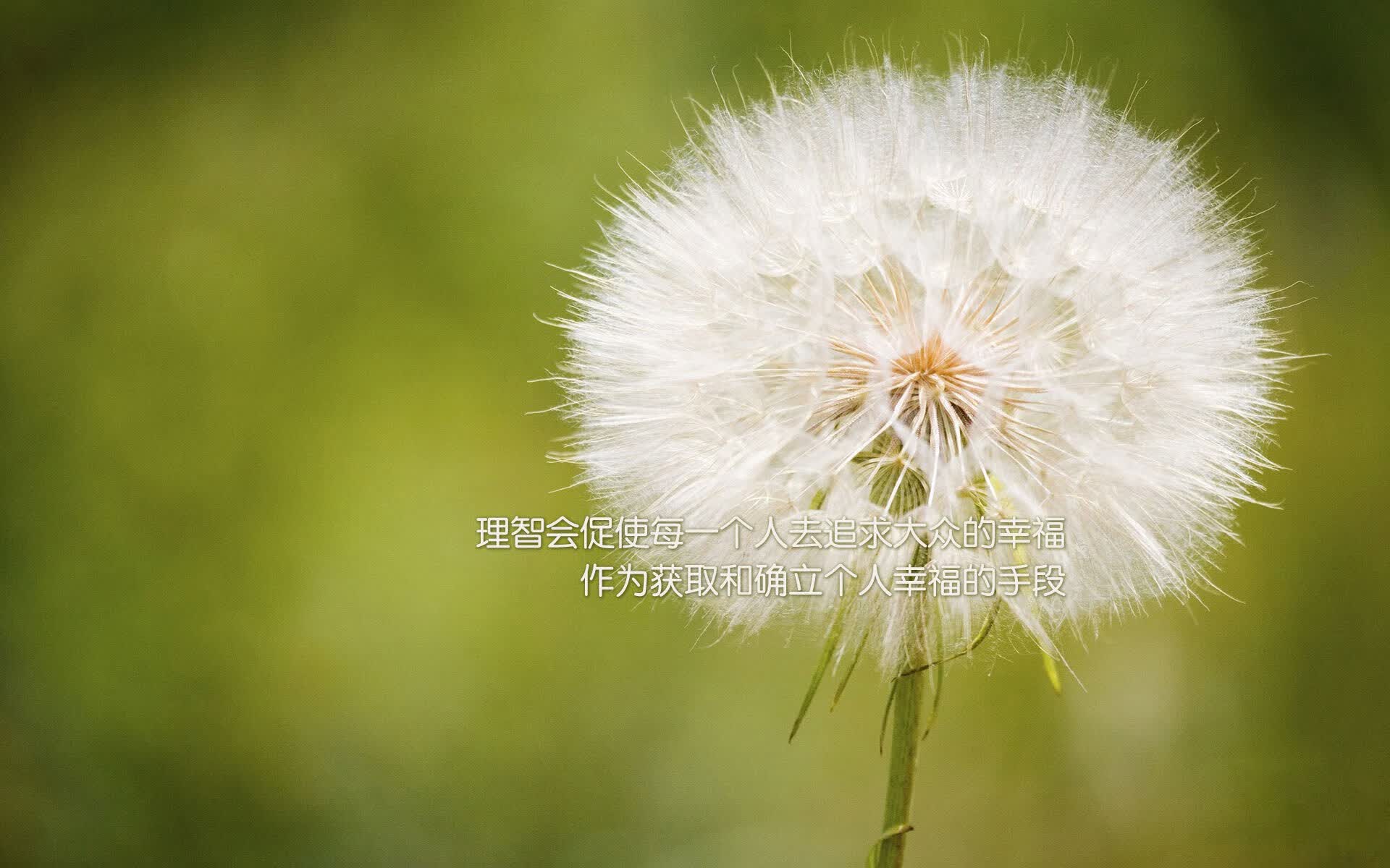 黑星闪耀，加维引领完美风暴—加纳完胜塞尔维亚，默契配合定义世界杯经典